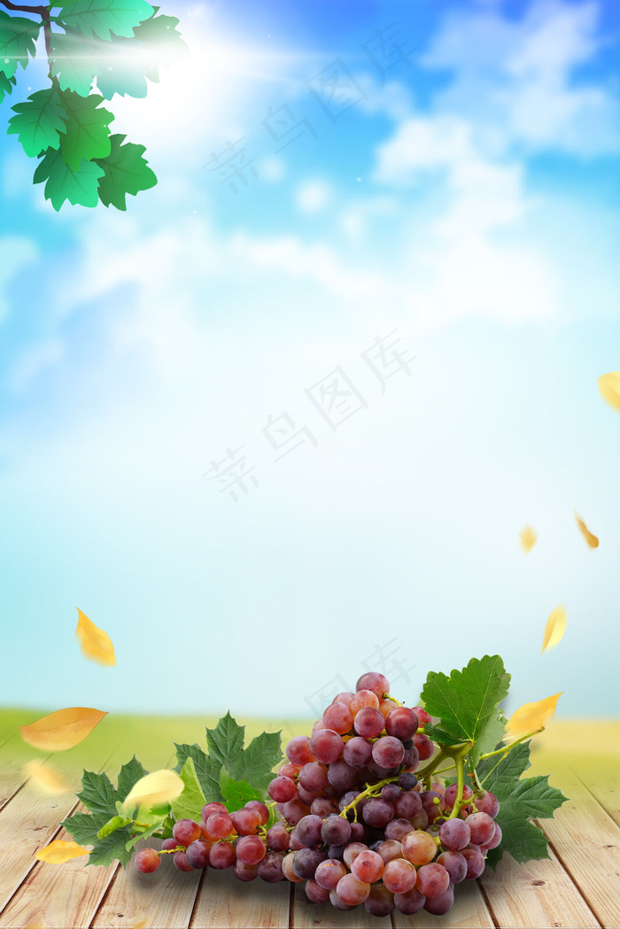 葡萄促销背景模板