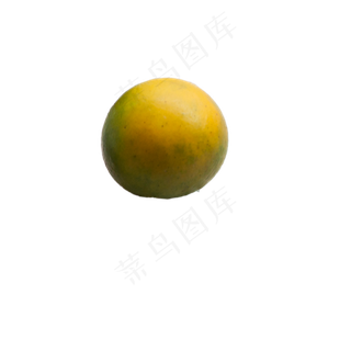 圆形柑橘PNG下载