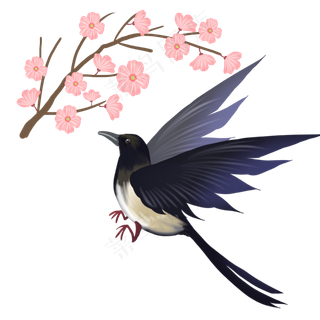 春天鸟类喜鹊与花,免抠元素