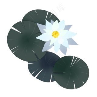 暖色莲花水墨插图