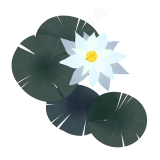 暖色莲花水墨插图