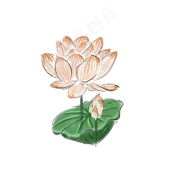 水墨荷花写生(2000X2000(DPI:132))psd模版下载