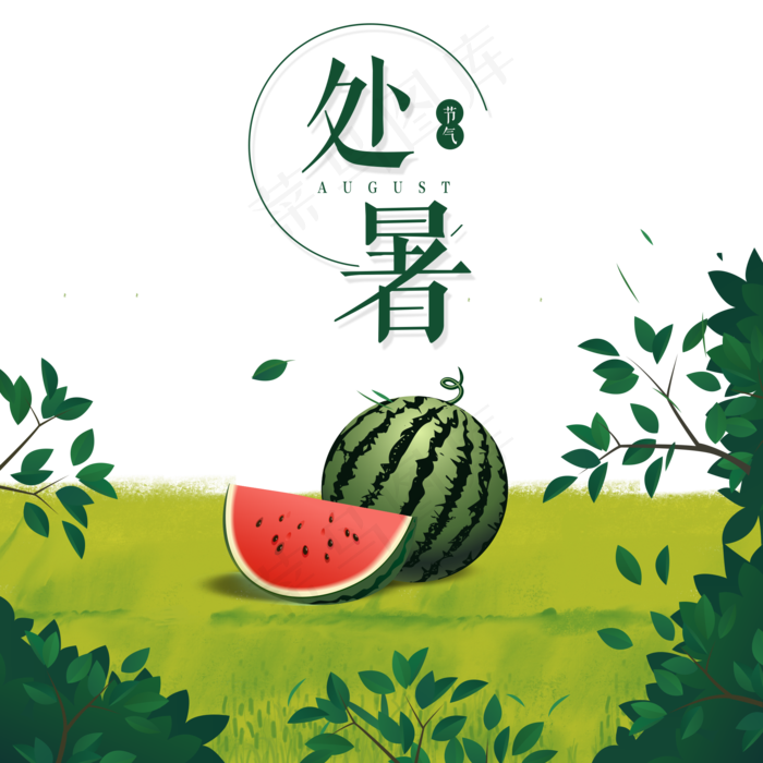 处暑清新绿色叶子
