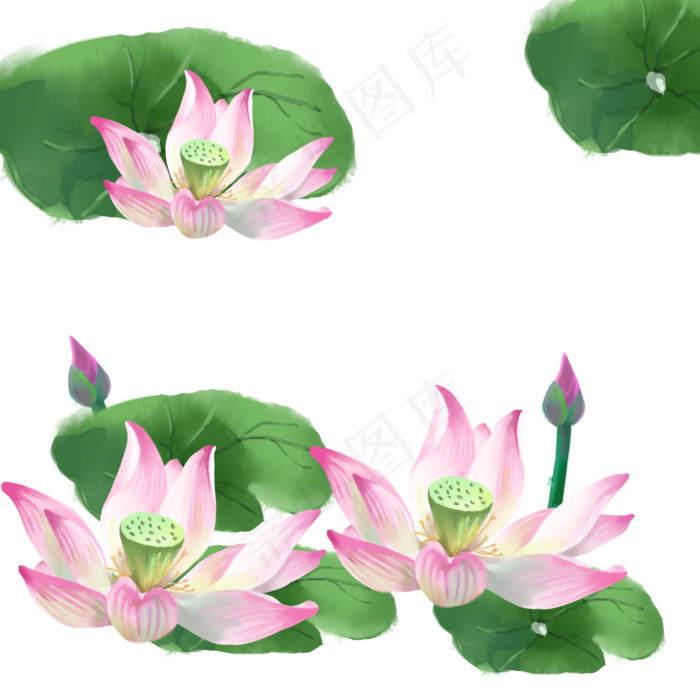 荷花漂浮(2000X2000(DPI:300))psd模版下载