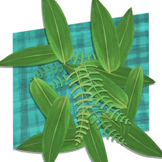 2018端午节餐桌布上的粽子叶