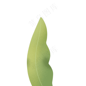 绿色植物叶子下载