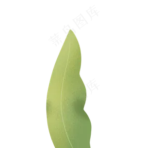 绿色植物叶子下载