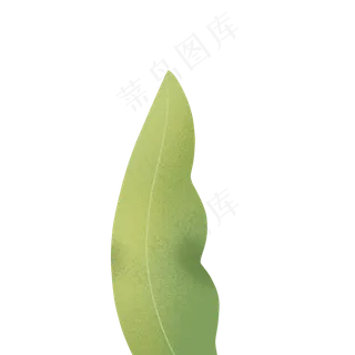 绿色植物叶子下载 绿色植物叶子下载