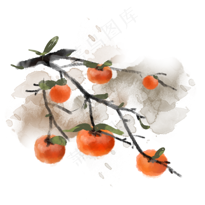 冬季植物柿子水墨素材(2000X2000(DPI:300))psd模版下载