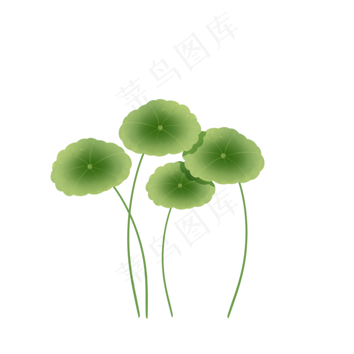 绿色植物叶子手绘金钱草透明底免