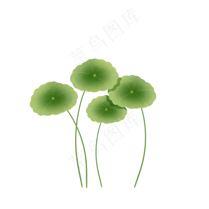绿色植物叶子手绘金钱草透明底免(2000X2000(DPI:299))psd模版下载