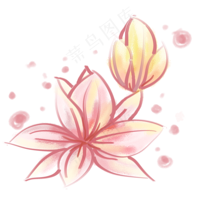 粉色水彩荷花插花(2000X2000(DPI:300))psd模版下载
