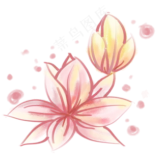 粉色水彩荷花插花 粉色水彩荷花插花