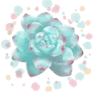 水墨画植物多肉盛开彩色清新手绘,免抠元素