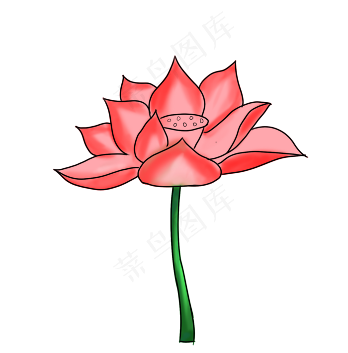 立体荷花装饰插画