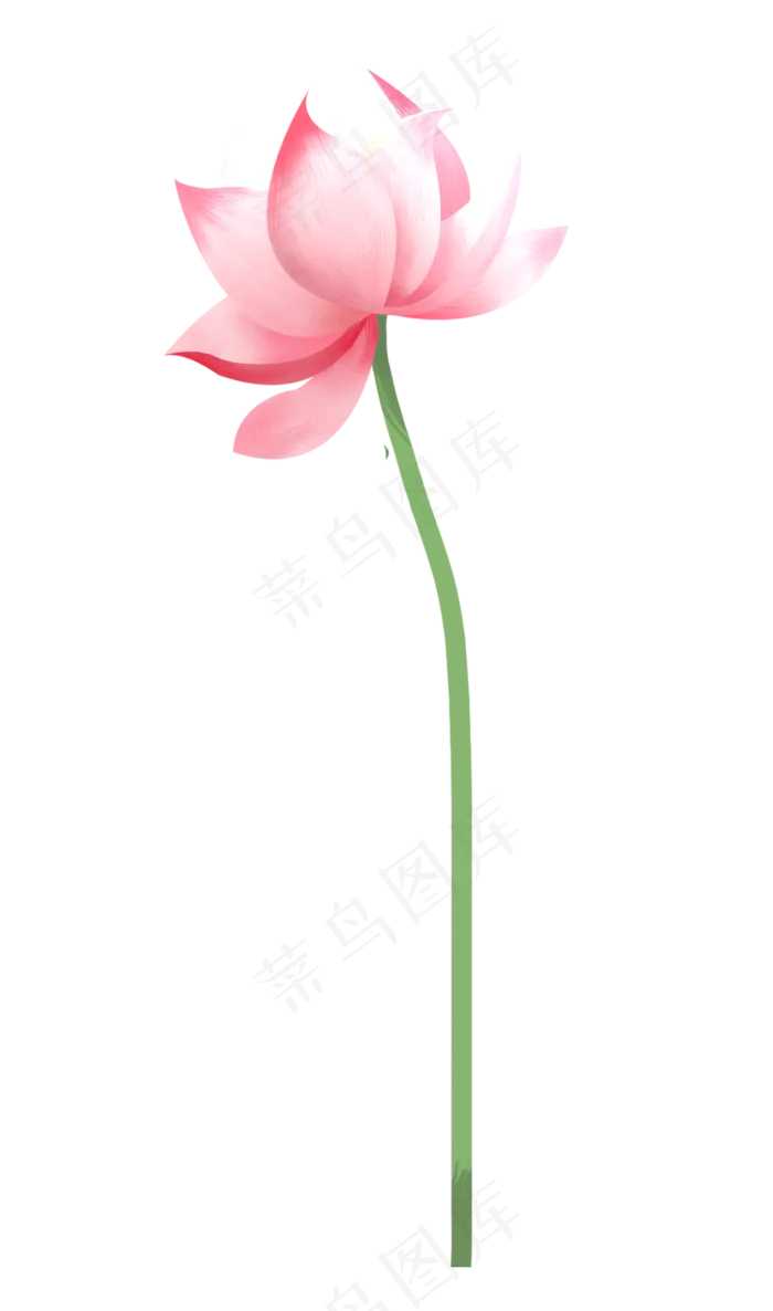 一朵荷花(970X1644(DPI:300))psd模版下载