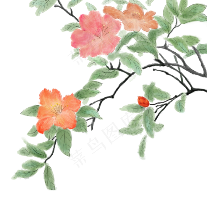 彩色水墨传统花朵绘画元素(2000X2000(DPI:300))psd模版下载