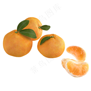 立体水果橘子