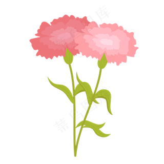 母亲节粉色康乃馨花朵矢量图