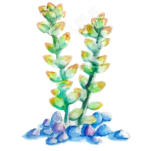 多肉植物商用元素,免抠元素