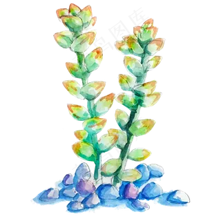 多肉植物商用元素,免抠元素