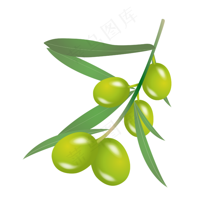 青色的橄榄