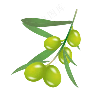 青色的橄榄
