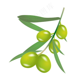 青色的橄榄