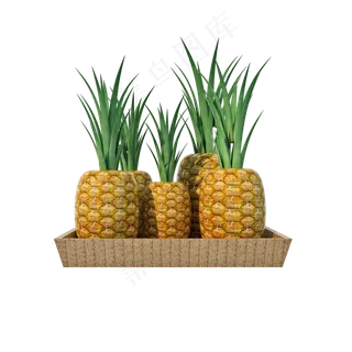 仿真菠萝png图