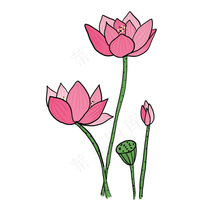 手绘中国风荷花PNG素材(2000X2000(DPI:300))psd模版下载