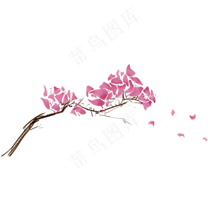 紫色花朵植物科属绿植花朵(3000X3000(DPI:300))psd模版下载