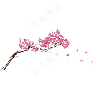 紫色花朵植物科属绿植花朵