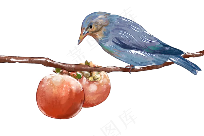 霜降柿子(3000X2000(DPI:299))psd模版下载