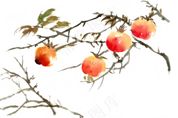 秋冬水果枝头的柿子(7087X4724(DPI:300))psd模版下载