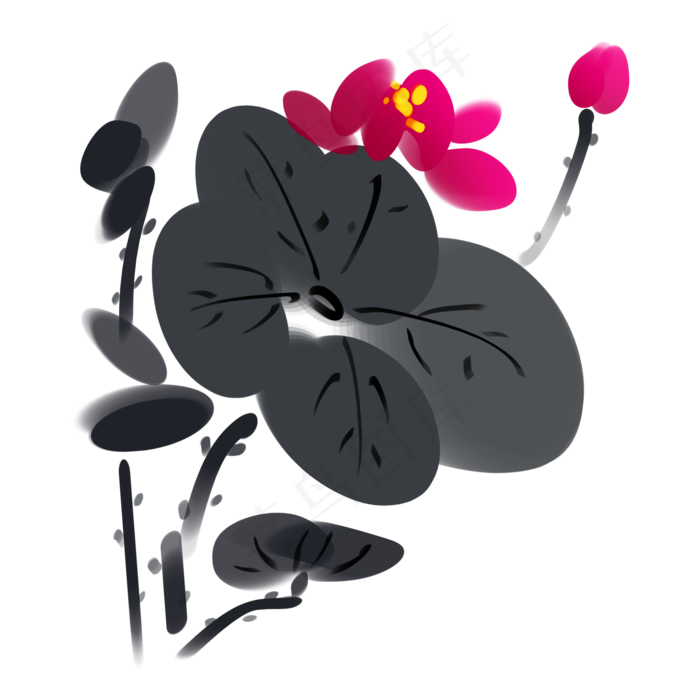 水墨荷花荷叶插画