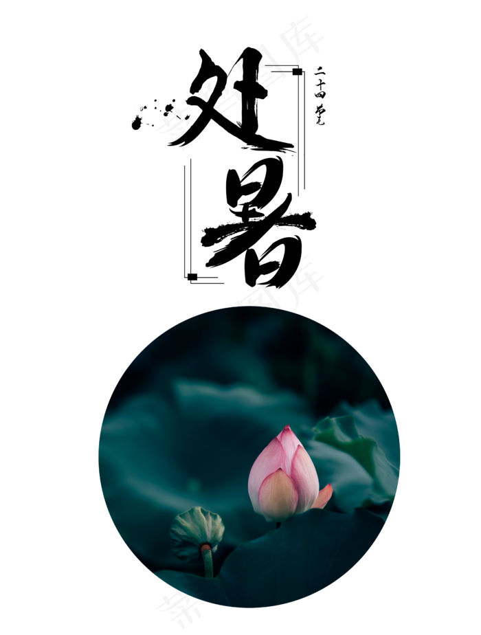 处暑节气荷花荷叶