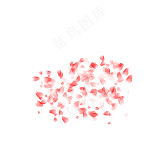 红色散落玫瑰花瓣