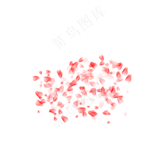 红色散落玫瑰花瓣