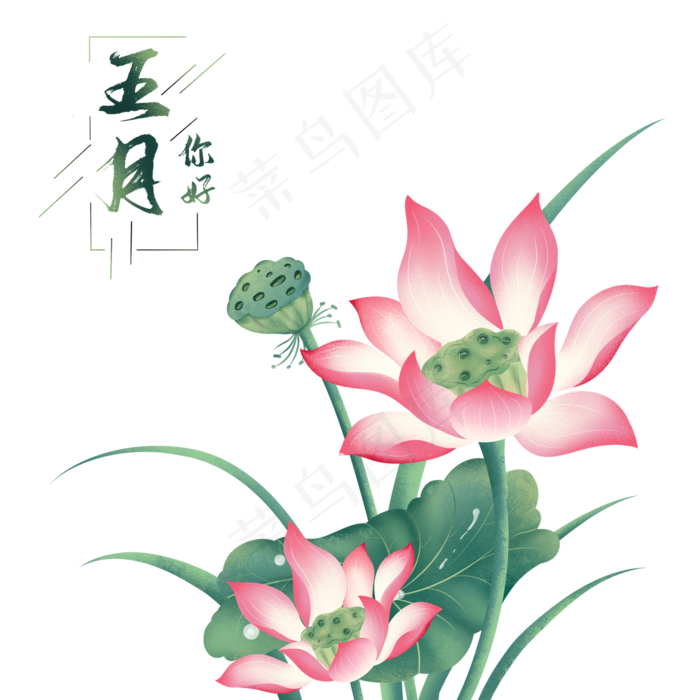 五月初夏荷花(2000X2000(DPI:96))psd模版下载