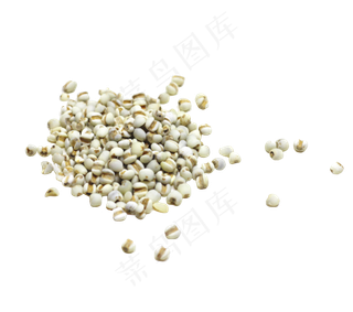 薏仁食材免扣,免抠元素