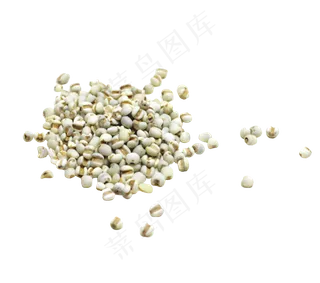 薏仁食材免扣,免抠元素