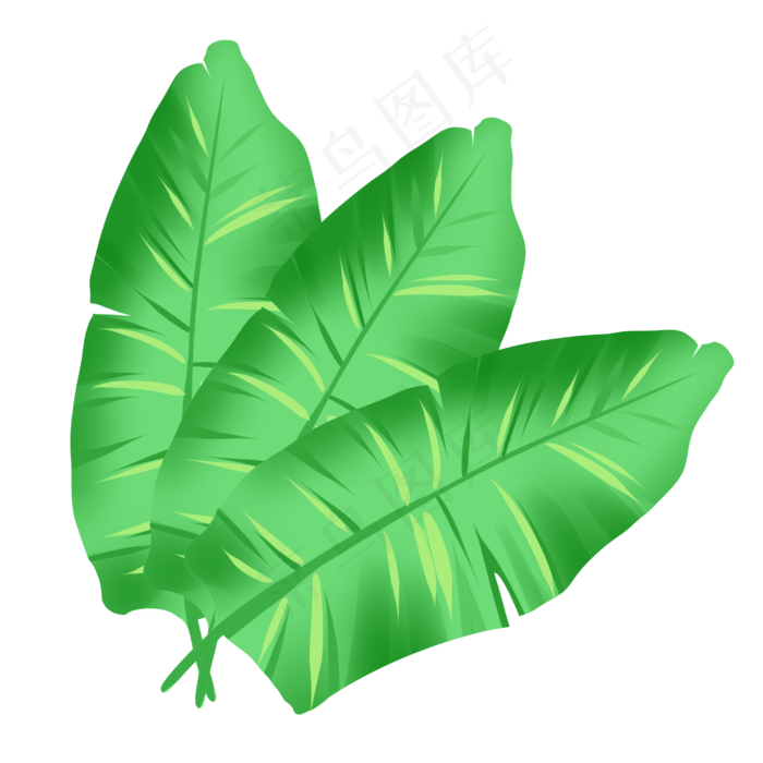 绿色叶子芭蕉叶