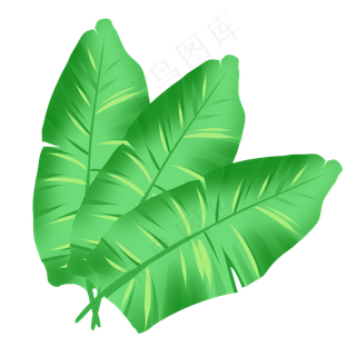 绿色叶子芭蕉叶