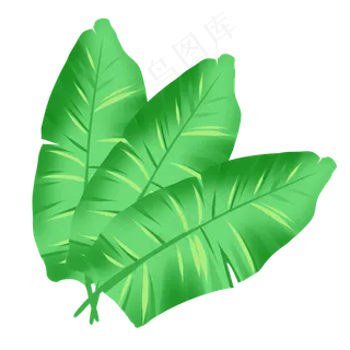 绿色叶子芭蕉叶
