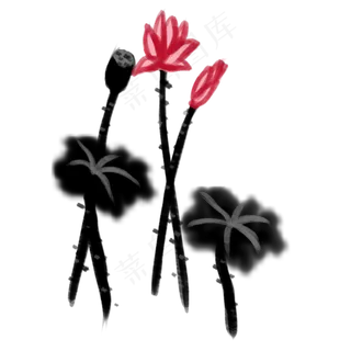 手绘中国风荷花水墨画PNG素材