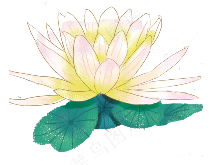 荷花荷叶睡莲池塘植物(1593X1235(DPI:300))psd模版下载