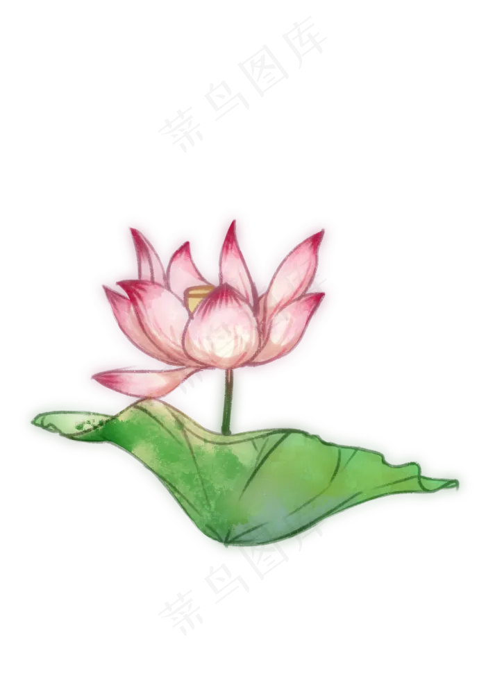 手绘夏日荷花PNG下载(2480X3508(DPI:300))psd模版下载