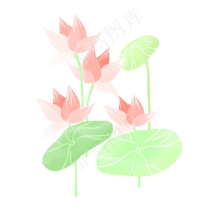 春夏荷花png素材