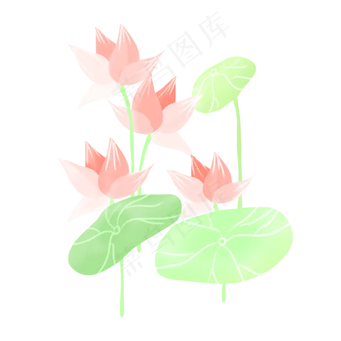 春夏荷花png素材(2000X2000(DPI:300))psd模版下载