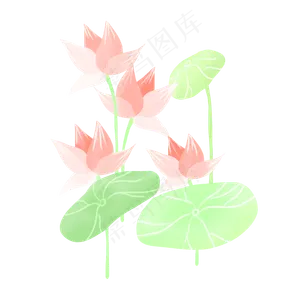 春夏荷花png素材